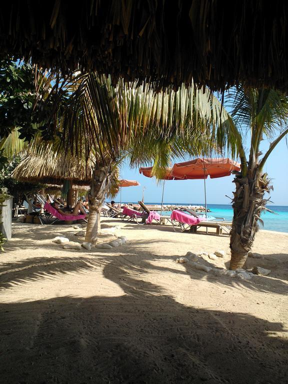 Royal Palm Resort Curacao Geweldig Zeezicht Willemstad Extérieur photo